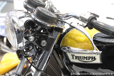 2015 Novembre - Registro Storico Triumph Rassegna Novegro