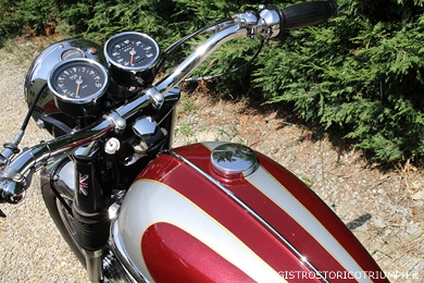 25 giugno 2016 - 4 Raduno Registro Storico Triumph (gemellaggio NBB - Nothing But British)